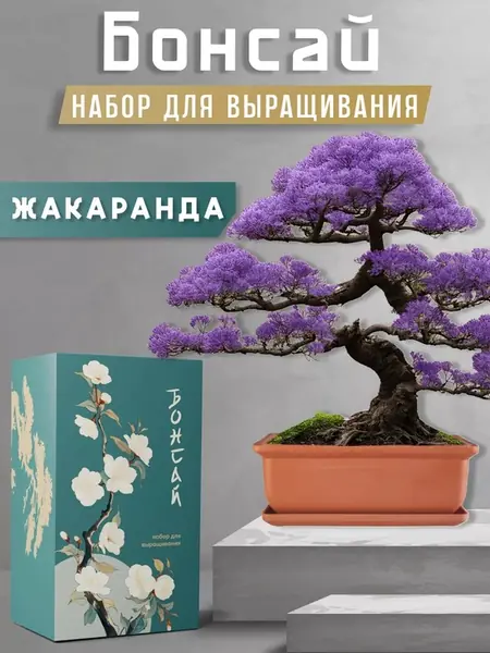 Бонсай набор