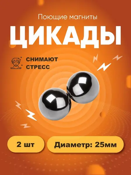 Магниты цикады
