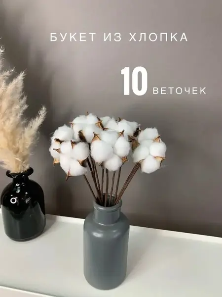 Хлопок сухоцветы
