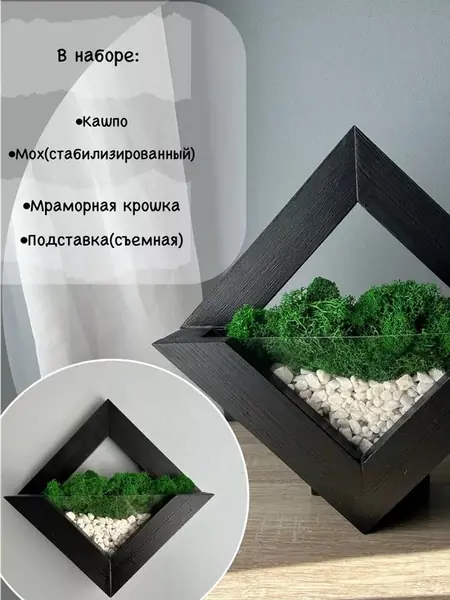 Кашпо с мхом