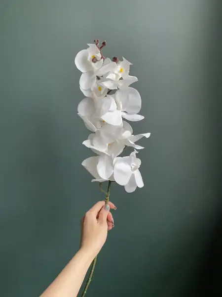 Искусственная Орхидея