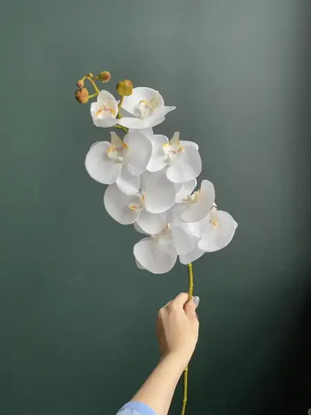 Искусственная Орхидея