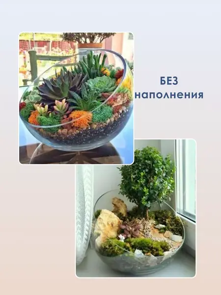 Флорариум стеклянный
