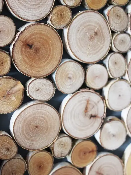 Панно дерево баня