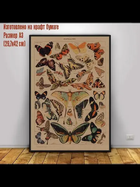 Постер «Бабочки»