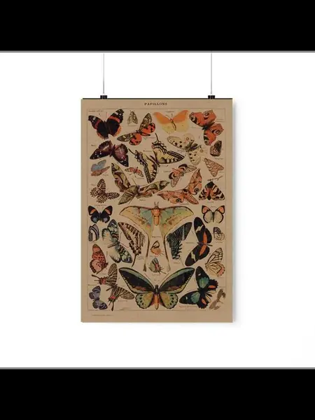 Постер «Бабочки»