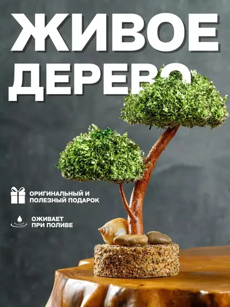 Бонсай