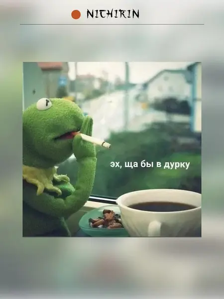 Футболка Кермит