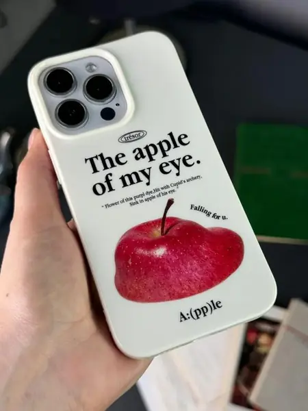 Чехол для iPhone.