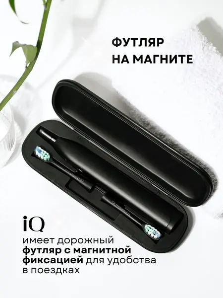 iQ SONIC