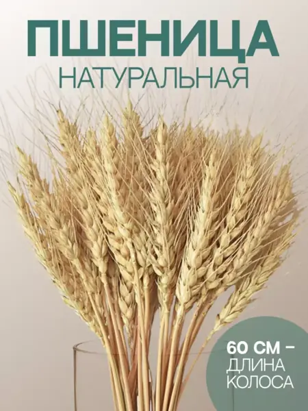 Букет пшеницы