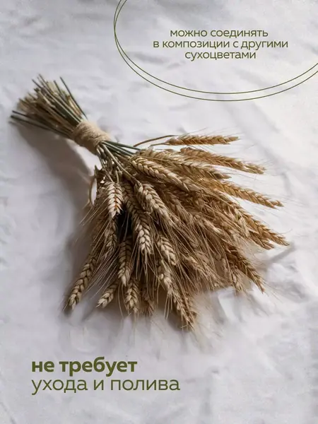 Букет пшеницы