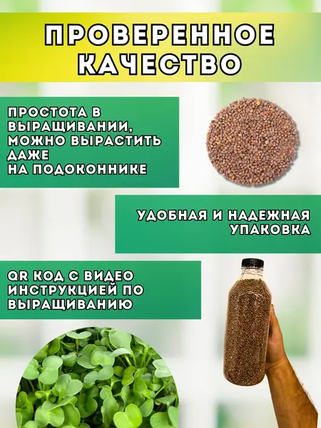 Редис зеленый