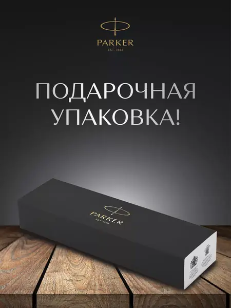 Ручка перьевая