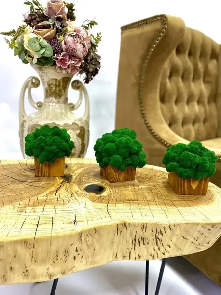 Кашпо со мхом