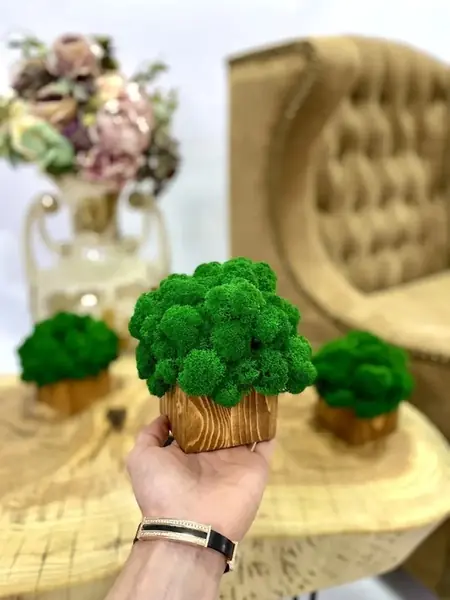 Кашпо со мхом