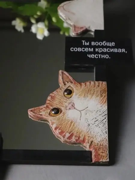 Зеркало с котиками