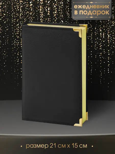 Ручка шариковая IM