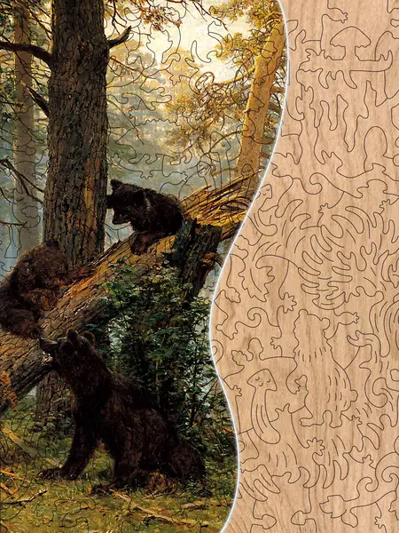 Утро в сосновом лесу