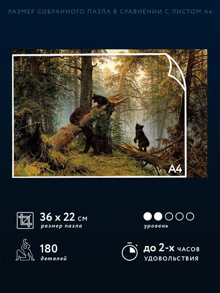 Утро в сосновом лесу