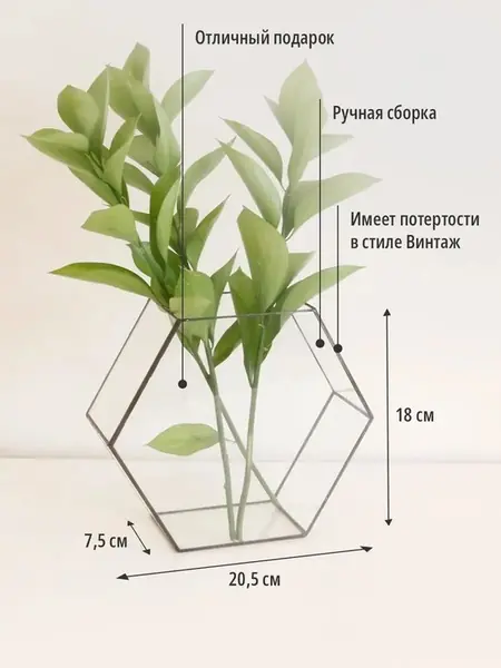 Ваза флорариум