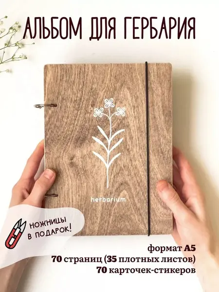 Гербарий