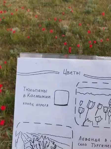 Квестбук Россия