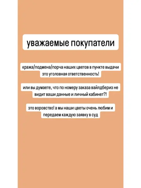 Тилландсия