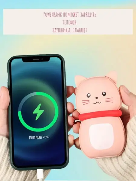 Грелка и powerbank