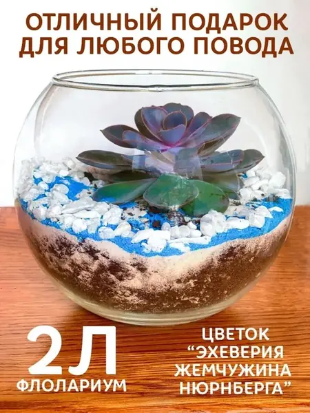 Флорариум