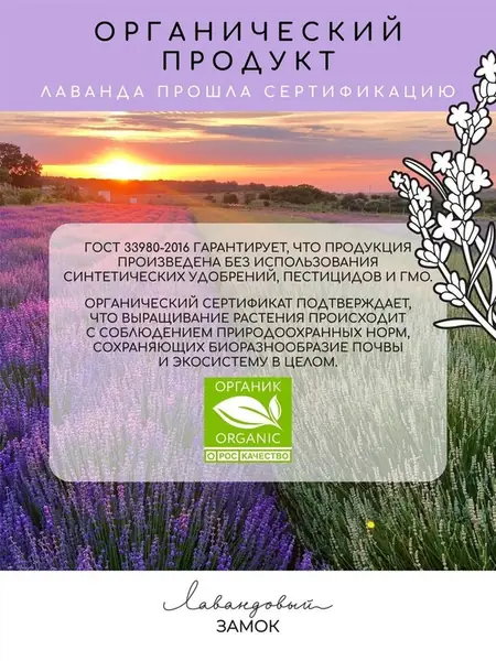 Лаванда Крымская