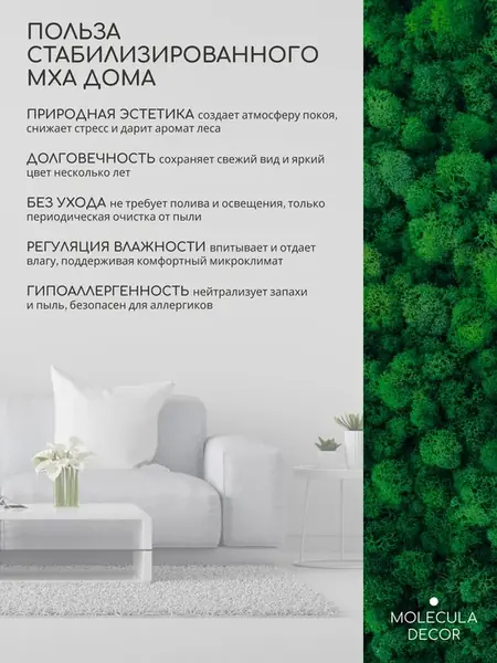 Декорация Molecula