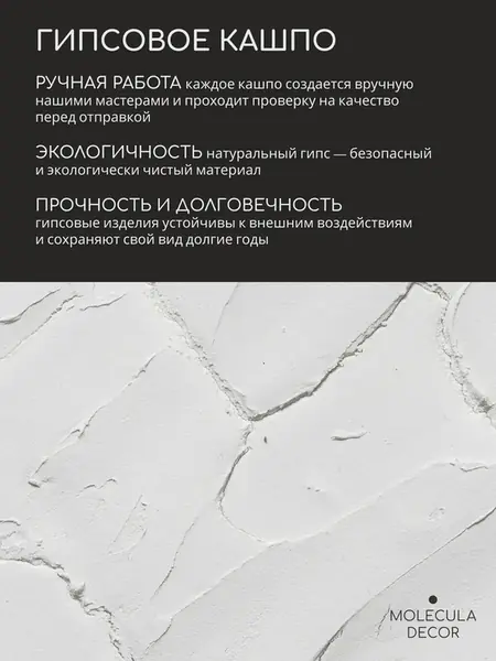 Декорация Molecula
