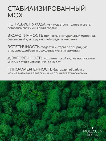 Декорация Molecula