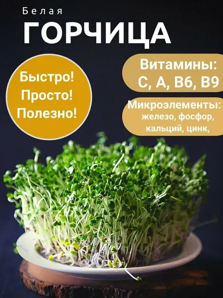 Набор для микрозелени