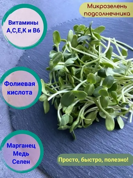 Набор для микрозелени