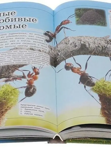 Кошевар Д. В. Большая детская энциклопедия