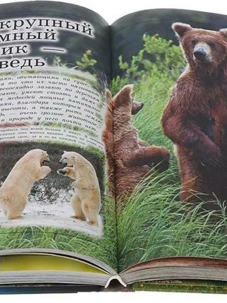 Кошевар Д. В. Большая детская энциклопедия