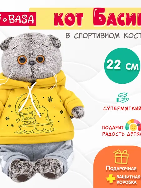 Басик в спортивном костюме