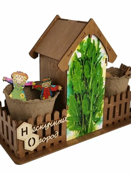 Основное изображение