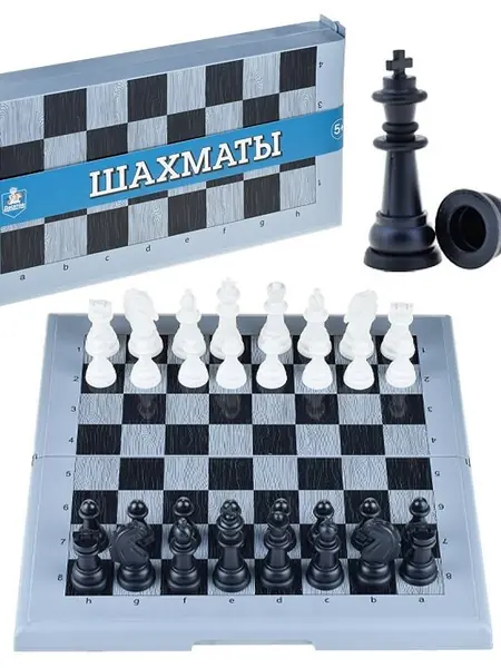 Шахматы