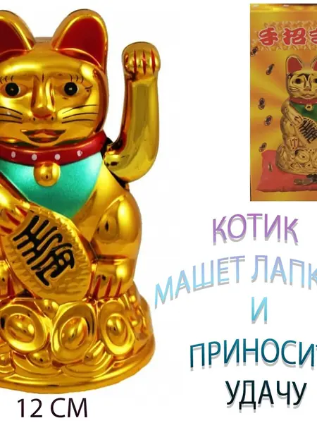 Кот счастья