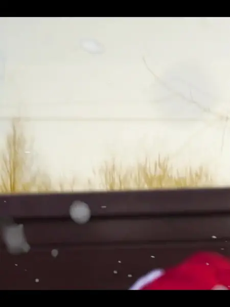 Конструктор 3D деревянный Lemmo