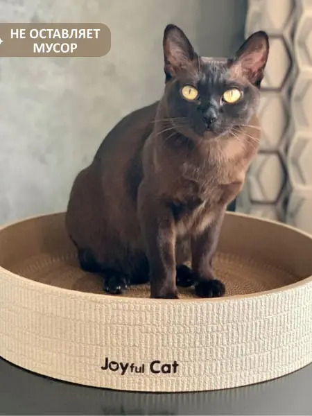 Когтеточка-лежанка Joyful Cat