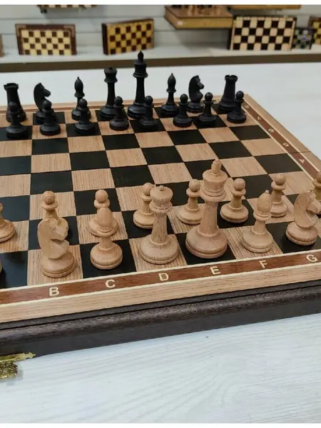 Шахматы турнирные