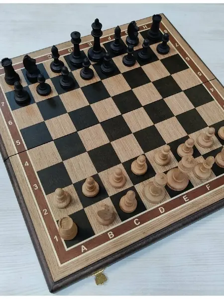 Шахматы турнирные