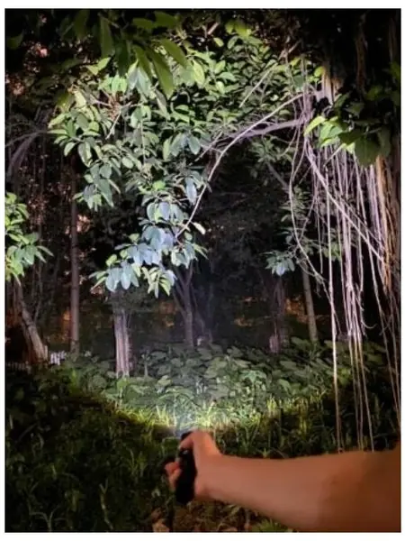 Фонарь SHIRRO FL001