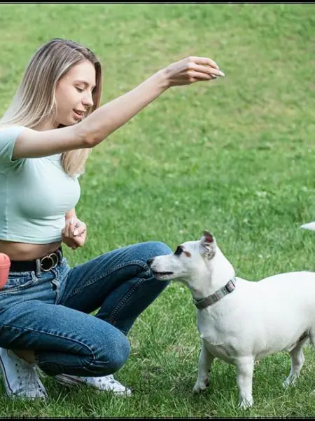 Сумочка для лакомства ZooWell