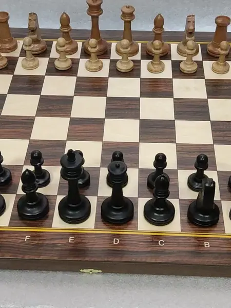 Шахматы "Баталия"