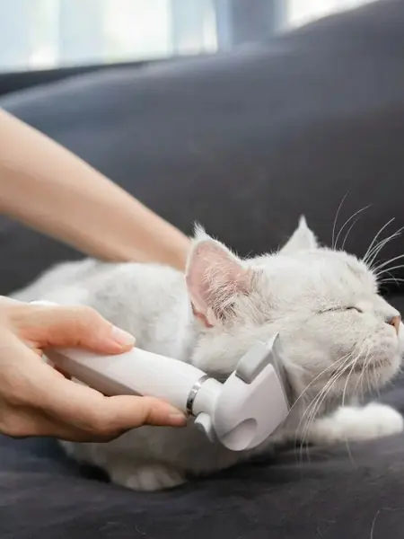 Расческа Pawbby